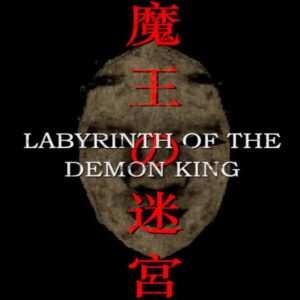 Labyrinth Of The Demon King PC Steam CD Key