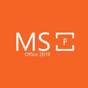 MS Office 2019 Professional OEM Key
