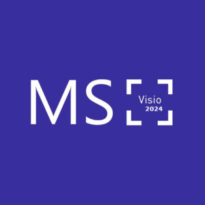 MS Visio Professional 2024 Bind Key