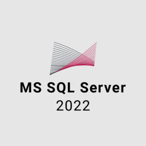 MS SQL Server 2022 CD Key