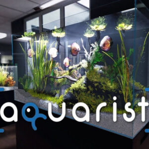 Aquarist Steam CD Key