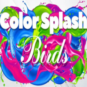 Color Splash: Birds Steam CD Key