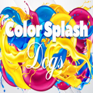 Color Splash: Dogs Steam CD Key