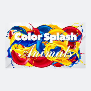 Color Splash: Animals Steam CD Key