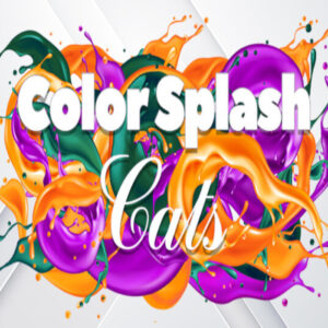 Color Splash: Cats Steam CD Key