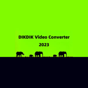 DIKDIK Video Converter Steam CD Key