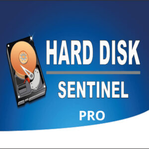 Hard Disk Sentinel Professional (Lifetime / 1 PC)