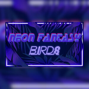 Neon Fantasy: Birds Steam CD Key