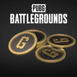 PUBG - 11200 G-Coins PC Steam CD Key