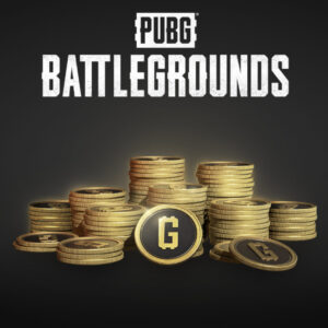 PUBG - 2700 G-Coins PC Steam CD Key