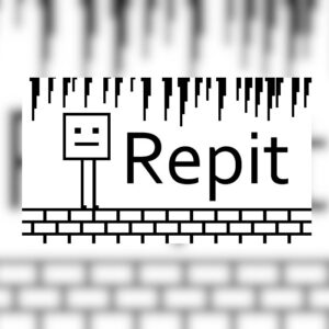 Repit Steam CD Key