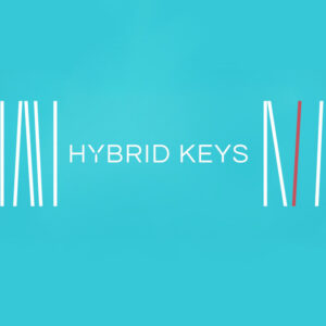 Native Instruments Hybrid Keys PC/MAC CD Key