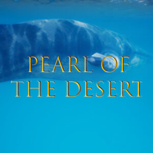 Pearl of the Desert PC Steam CD Key
