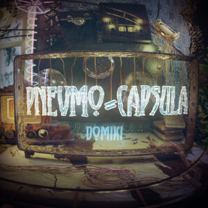 Pnevmo-Capsula: Domiki Steam CD Key
