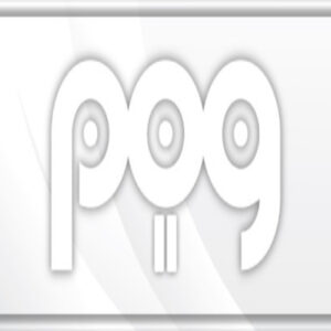 POG 2 Steam CD Key