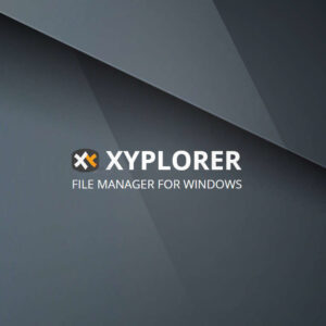 Xyplorer - Mini Site Professional CD Key (Lifetime / 50 Users)